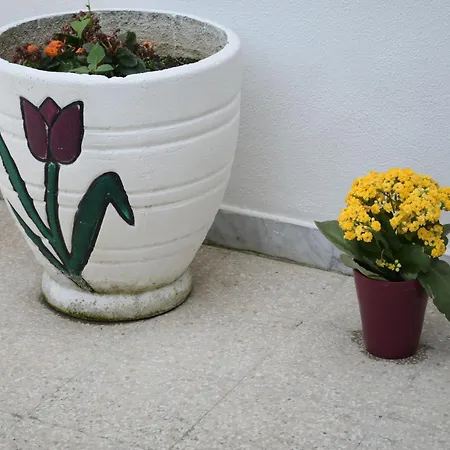 Apartment Casa Maristella Margherita Di Savoia